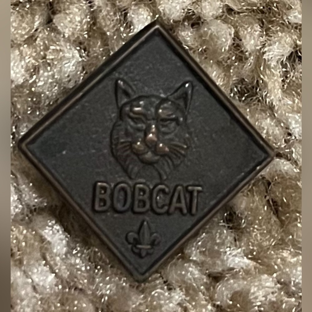 Boy scout pin vintage